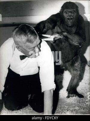 1962 - cavalleresco Romp.da George.I più popolari detenuti della zoo a Sydney in Australia - sono George e Maria i gorilla.i visitatori allo Zoo sempre amano fermarsi a guardare le loro buffonate.la loro grande pal - è Sir Edward Hallstrom - l'on. Il direttore di vita Taronga Park Zoological Trusy -Sydney.Quando egli entra nella loro gabbia - di un diritto a tempo reale è avuto da tutti.mostra fotografica di George detiene - Sir Edward dalla sua parentesi - come quest'ultimo esamina intorno alla gabbia - tenendo una banana nella sua bocca - come un dono per una cooperativa di George. © Keystone Pictures USA/ZUMAPRESS.com/Alamy Live News Foto Stock