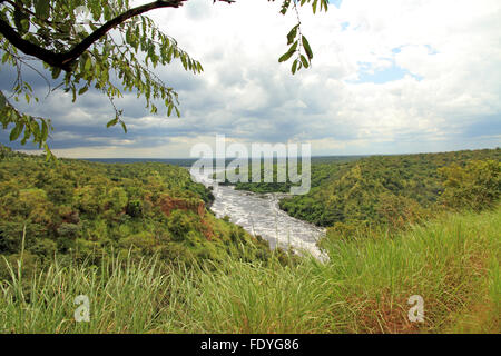 Affacciato su Murchison Falls National Park in Uganda. Foto Stock