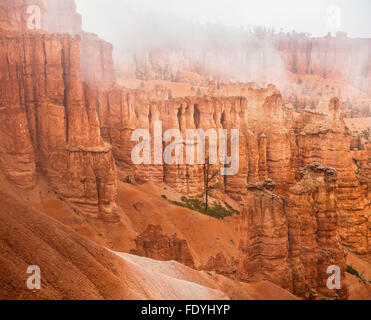 Parco Nazionale di Bryce Canyon, UT: nebbia in formazioni di arenaria e hoodoos di Bryce Canyon Foto Stock