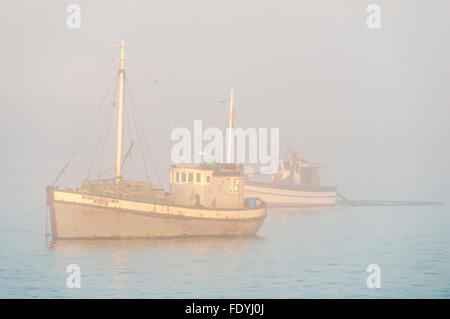 LUDERITZ, NAMIBIA - Giugno 13, 2011: barche da pesca sono visibili attraverso una nebbia fitta al porto di Luderitz Foto Stock