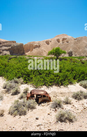 Deserto paesaggio lungo il fiume Amargosa sentiero vicino Tecopa, California Foto Stock