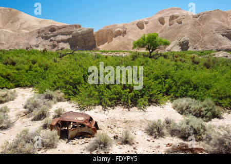 Deserto paesaggio lungo il fiume Amargosa sentiero vicino Tecopa, California Foto Stock