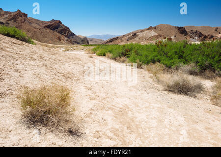 Deserto paesaggio lungo il fiume Amargosa sentiero vicino Tecopa, California Foto Stock