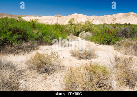 Deserto paesaggio lungo il fiume Amargosa sentiero vicino Tecopa, California Foto Stock