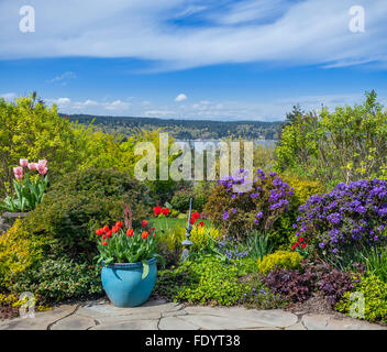 Vashon-Maury Island, WA: patio in lastricato con vasi colorati con tulipani orlato da giardino perenne letti su un cielo blu giorno in Foto Stock