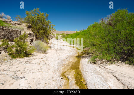 Deserto paesaggio lungo il fiume Amargosa sentiero vicino Tecopa, California Foto Stock