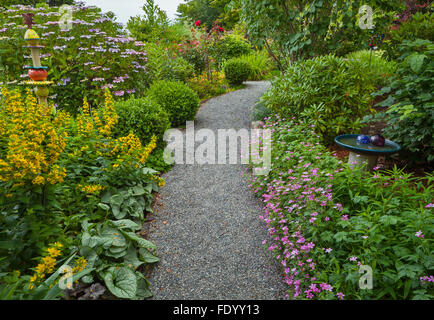 Vashon-Maury Island, WA: sentiero di ghiaia in estate il giardino cottage dotate di gerani; loosestrife; ortensie e brunnera Foto Stock