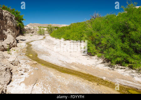 Deserto paesaggio lungo il fiume Amargosa sentiero vicino Tecopa, California Foto Stock