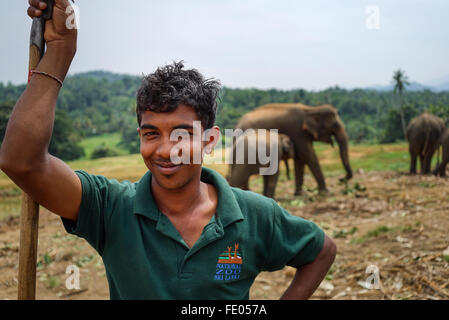 Gestore di elefante a Pinnawala l'Orfanotrofio degli Elefanti Foto Stock