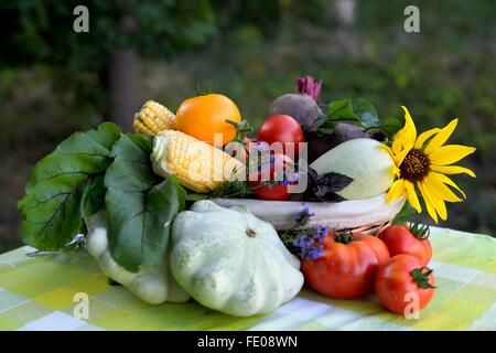 Carrello con assortimento di materie verdura biologica nel giardino. Foto Stock