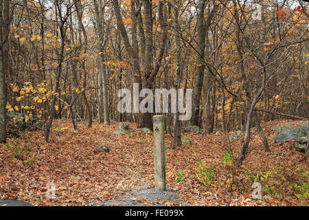 Appalachian Trail nel Parco Nazionale di Shenandoah in ottobre. Uno dei rimanenti caratteristico segnavia Foto Stock