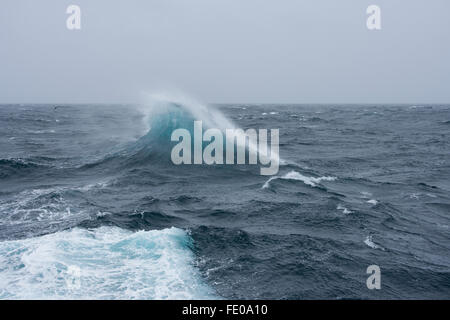 Nuova Zelanda, Oceano Meridionale. Mare mosso e alta venti al largo della costa di Campbell Island aka Moto Ihupuku, un isola sub antartiche. Foto Stock