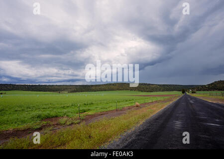 Tempesta in rotolamento con grande tempesta nubi su una strada e campo agricolo nel centro di Oregon. Foto Stock