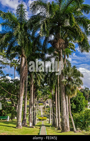 I Giardini Botanici di Scarborough Tobago West Indies Foto Stock