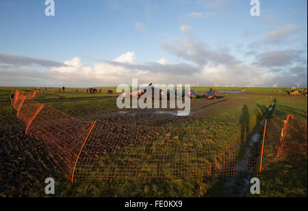 Kaiser-Wilhelm polder, Germania. 3 febbraio, 2016. Visitatori guardare morti capodogli dietro l'argine a velme vicino alla Kaiser-Wilhelm polder in Germania, il 3 febbraio 2016. Esperti ha iniziato la rimozione del 8 capodoglio cadaveri scoperto sulle velme vicino Dithmarschen oggi. Credito: dpa picture alliance/Alamy Live News Foto Stock