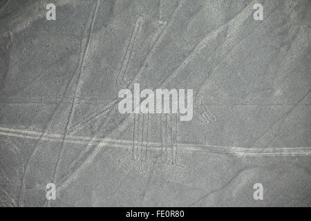 Vista aerea delle linee di Nazca - Cane geoglyph, Perù. Le linee sono state designate come un Sito Patrimonio Mondiale dell'UNESCO nel 1994. Foto Stock