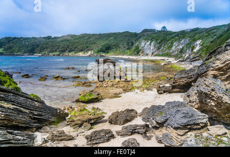 Isola di Lord Howe nel Mare di Tasman, area non costituite in società del Nuovo Galles del Sud, Australia. Le rocce vulcaniche a Middle Beach Foto Stock