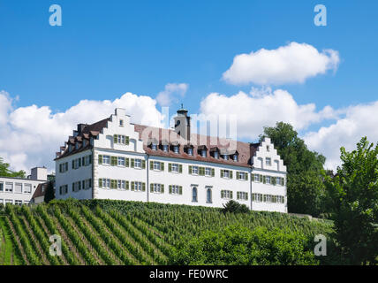 Schloss Hersberg, Hersberg Castello, Immenstaad am Bodensee, Alta Svevia, Regione Bodensee, Baden-Württemberg, Germania Foto Stock