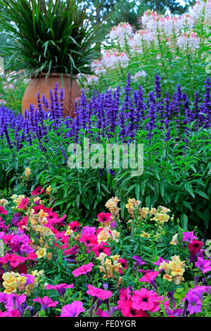 Fiori e vaso di ceramica, Denver Botanic Gardens, Denver, Colorado, STATI UNITI D'AMERICA Foto Stock