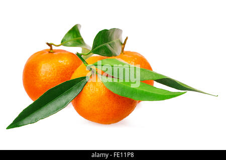 Mandarin isolati su sfondo bianco Foto Stock