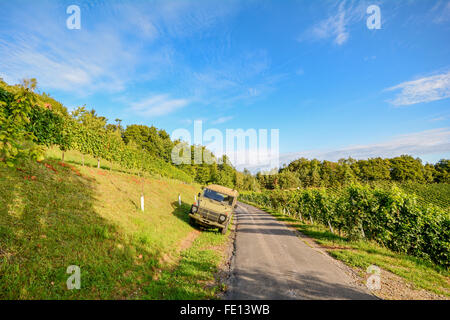 Vigneti con la vecchia auto a sud della Stiria Strada del vino in autunno, Austria Europa Foto Stock