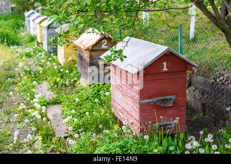 Bee hive casa in legno in giardino Foto Stock