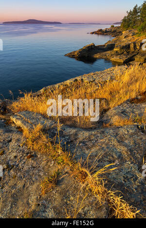 Saltspring Island, British Columbia: Dawn luce sulla costa rocciosa di castoro Punto e Swanson canale, Ruckle parco provinciale Foto Stock