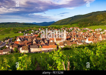 La mattina presto vista su Riquewihr, Alsazia, Francia Foto Stock