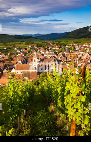 La mattina presto vista su Riquewihr, Alsazia, Francia Foto Stock