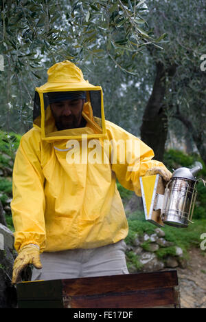 Apicoltore utilizzando fumatore durante la manutenzione di alveare Foto Stock