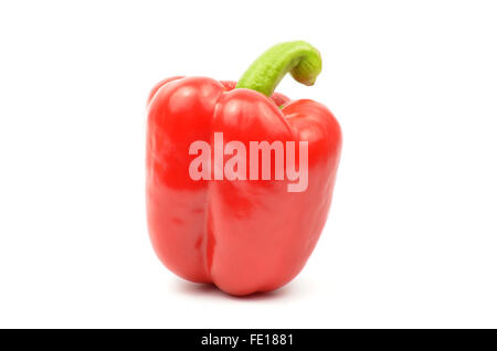 Fresco di paprika rossa isolato su sfondo bianco Foto Stock