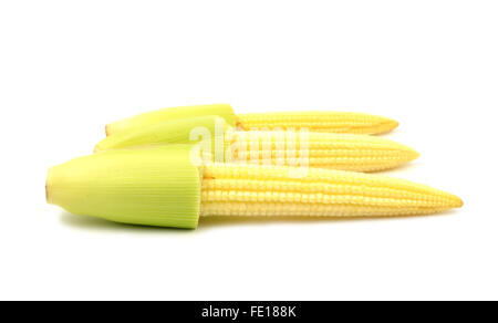 Baby corn isolati su sfondo bianco Foto Stock