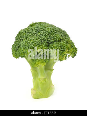 Broccoli isolati su sfondo bianco Foto Stock
