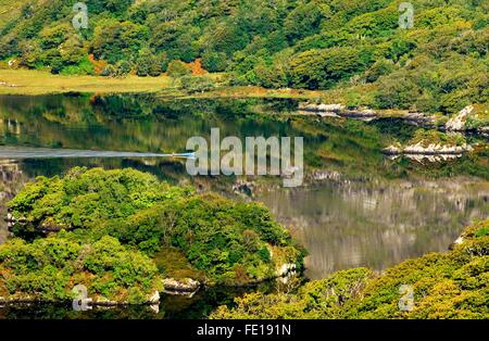 L uomo nella piccola barca da pesca che viaggiano sul lago Superiore, Parco Nazionale di Killarney, nella contea di Kerry, Irlanda Foto Stock