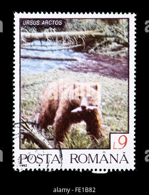 Francobollo dalla Romania raffigurante un orso bruno (Ursus arctos) con un pesce. Foto Stock