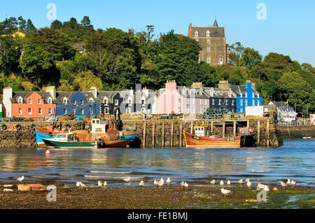 Tobermory, The Isle of Mull la città principale e porto. Ebridi Interne, Scotland, Regno Unito. Barche da pesca e case dipinte Foto Stock