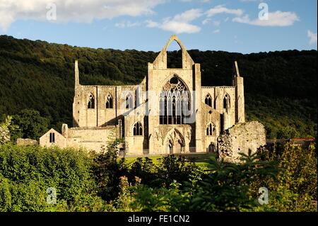 Tintern Abbey nella valle del Wye, Monmouthshire, Wales, Regno Unito. Cistercensi monastero cristiano fondato 1131. Serata estiva sunshine Foto Stock
