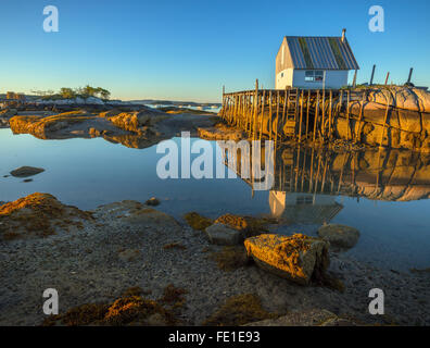 Stonington, Maine: Net capannone e banchina di sperone di roccia con la bassa marea, Stonington Harbor Foto Stock