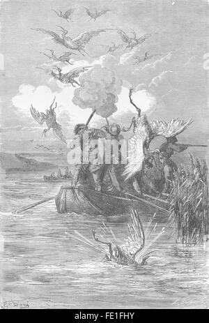 Spagna: Flamingo-tiro sul lago di Albufera, antica stampa 1881 Foto Stock