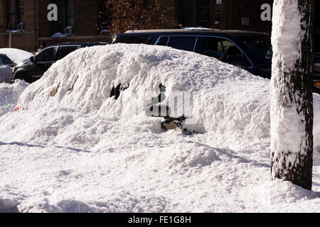 Un albero con neve aderente al suo fianco con una macchina parcheggiata quasi completamente coperto di neve solo un lato dello specchio non è visibile Foto Stock