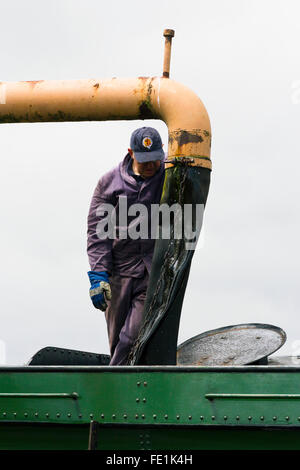 Treno a vapore assumendo acqua a Watchet stazione sul West Somerset Railway, REGNO UNITO Foto Stock