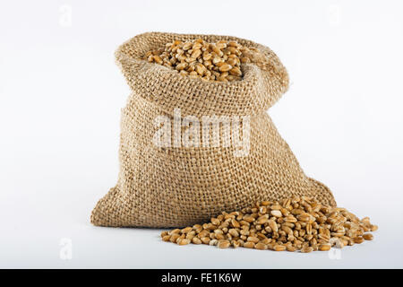 Chicco di grano in piccoli sacchi di tela Foto Stock