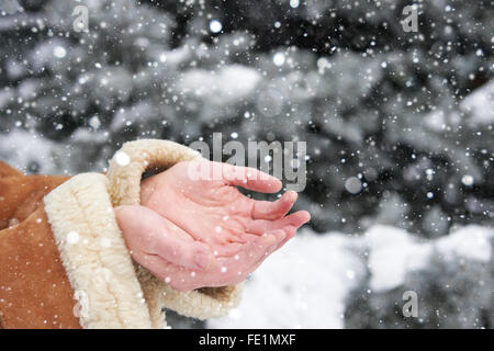 La neve cade su le mani delle donne, stagione invernale concept Foto Stock