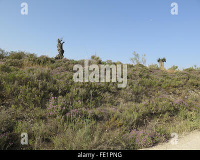 Banca di fioritura Timo selvatico in Alora Campagna, Andalusia Foto Stock