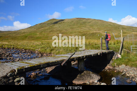 Lone Hillwalker cercando fino alla cresta orientale del Corbett Beinn Stacath nel Trossachs National Park, Highlands scozzesi, Foto Stock