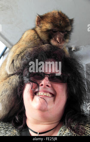 Donna sorridente con una barberia Ape seduto sulle sue spalle, Gibilterra Foto Stock