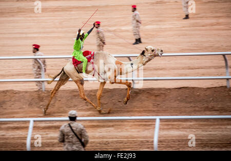 Riad in Arabia Saudita. 03Feb, 2016. Il vincitore della tradizionale 18-chilometro di corsa di cammelli attraversa la linea di arrivo al festival Al-Jenadriyah di Riad, in Arabia Saudita, 03 febbraio 2016. La Germania è un paese ospite a due settimana culturale e heritage festival di Jenadriyah vicino a Riad. Foto: MICHAEL KAPPELER/dpa/Alamy Live News Foto Stock