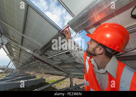 Ingegnere di potere esaminare il cablaggio di potenza del solare fotovoltaico array Foto Stock