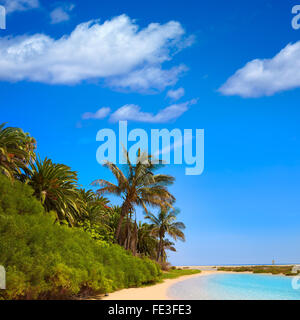 Jandia Sotavento Beach a Fuerteventura isole Canarie di Spagna photomount Foto Stock