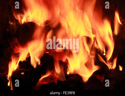 Carbone nazionale fuoco che arde nel focolare domestico di calore, riscaldamento, di energia, di carburante e di emissioni di anidride carbonica, fiamme, fiamme Foto Stock